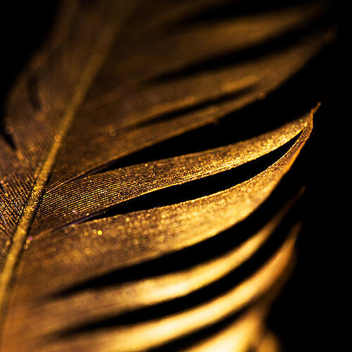 golden-swan-effect-square